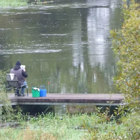 Cat's By The River
