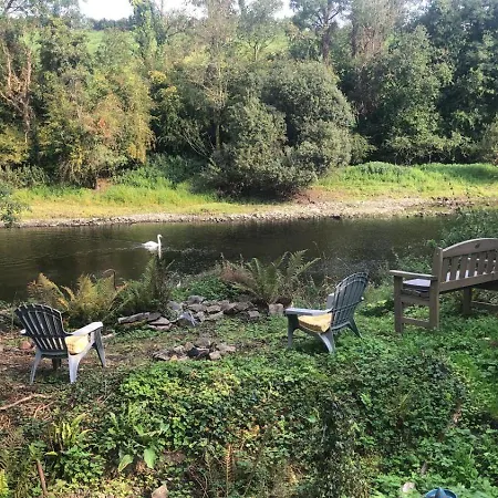 Cat's By The River * Belturbet