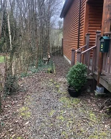 Cat's By The River